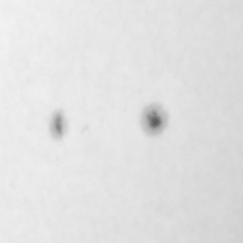 Dipolar example