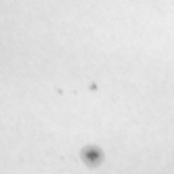 Dipolar example