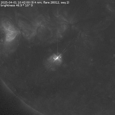 image not (yet) available